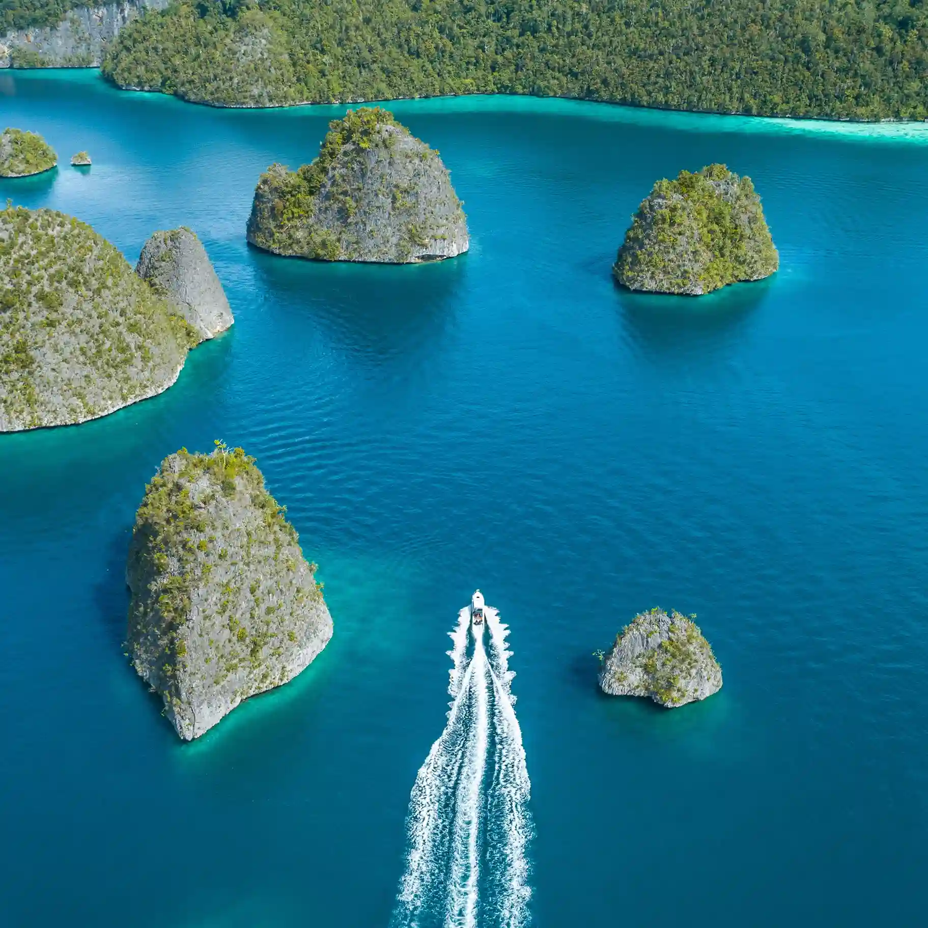 Plan Raja Ampat Trip