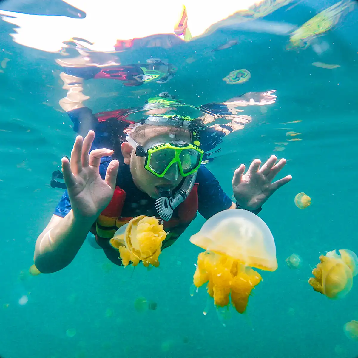 Danau Ubur - Ubur — Misool Raja Ampat