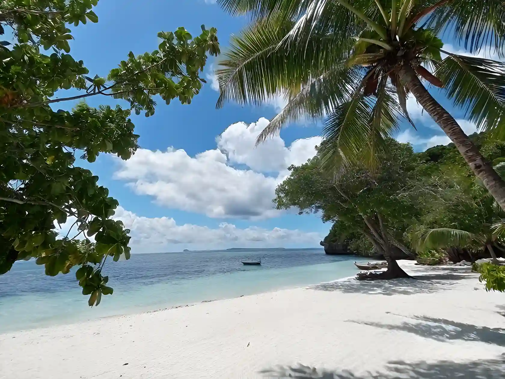Kalek — Misool Raja Ampat
